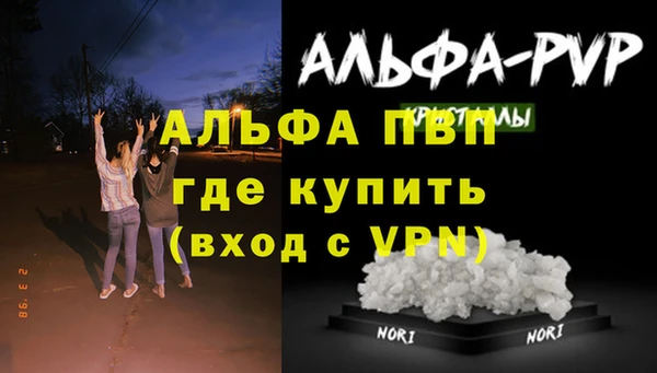 ECSTASY Костерёво