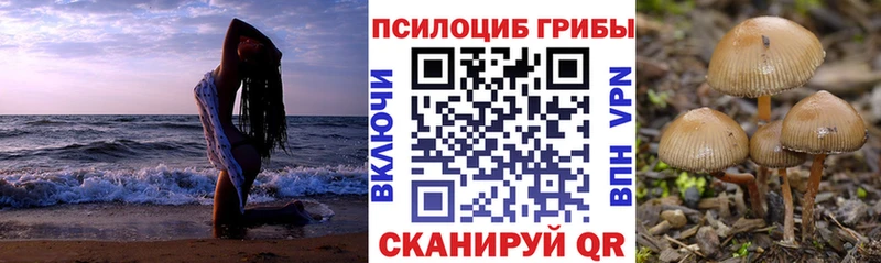 как найти закладки  Медвежьегорск  KRAKEN зеркало  Псилоцибиновые грибы прущие грибы 